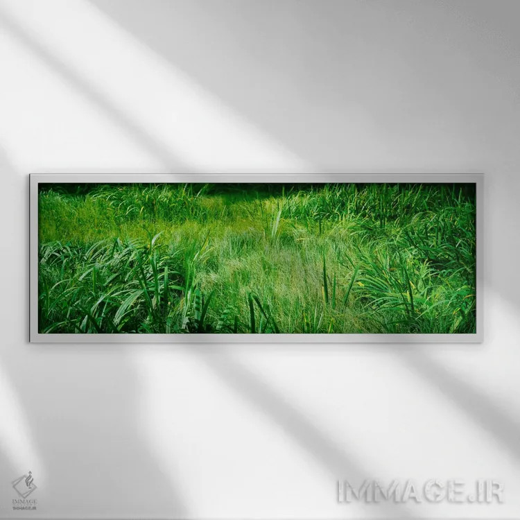 تابلو England,چمن در باتلاق، انگلستان اثر پانورامیک ایمجز (استودیو عکاسی عریض) - نمای قابدار سفید