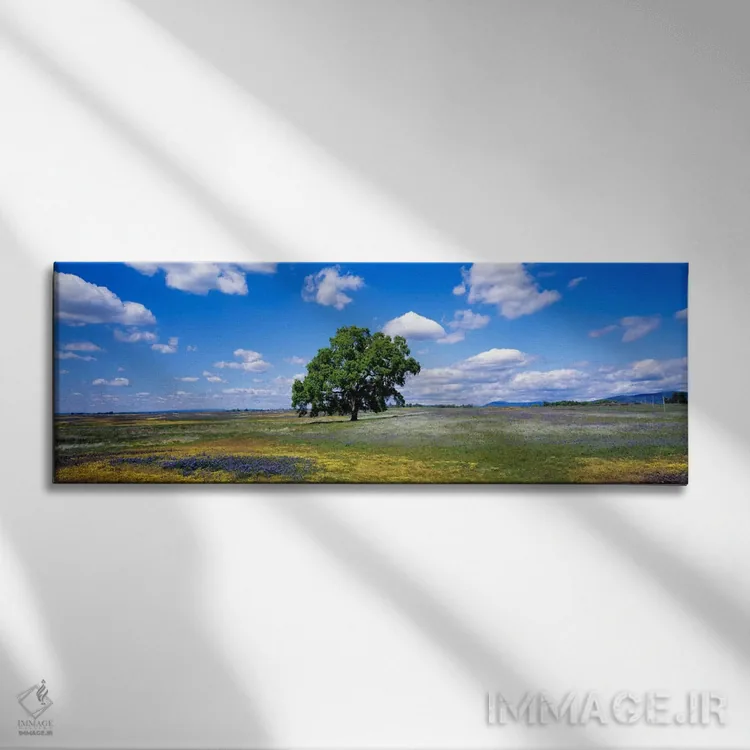 تابلو Table Mountain Plateaus, California, USA,درخت بلوط تنها در دشتی از گلهای وحشی، دشتهای کوه تیبل، کالیفرنیا، آمریکا اثر پانورامیک ایمجز (استودیو عکاسی عریض) - نمای روبهرو روی دیوار