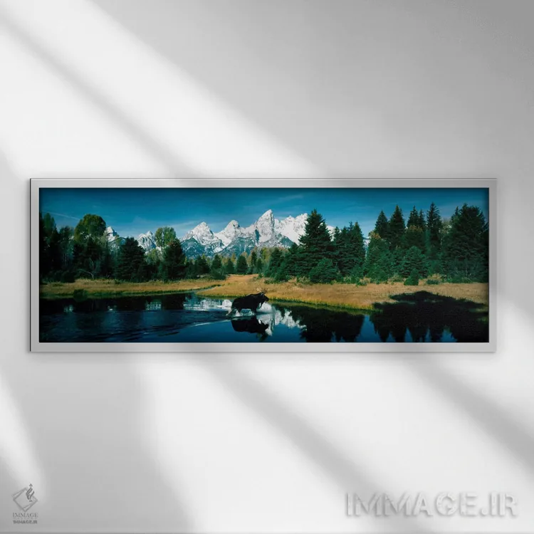 تابلو گوزن و برکه سگآبی، پارک ملی گرند تتون، وایومینگ، آمریکا اثر پانورامیک ایمجز (استودیو عکاسی عریض) - نمای قابدار سفید
