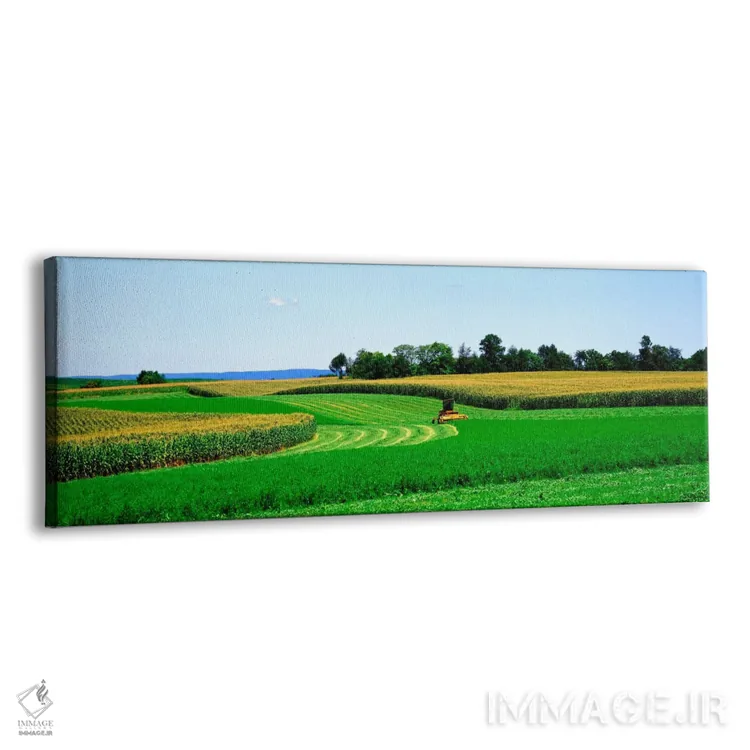تابلو Frederick County, Maryland, USA,کمباین برداشت محصول، شهرستان فردریک، مریلند، آمریکا اثر پانورامیک ایمجز (استودیو عکاسی عریض) - نمای پرسپکتیو محصول