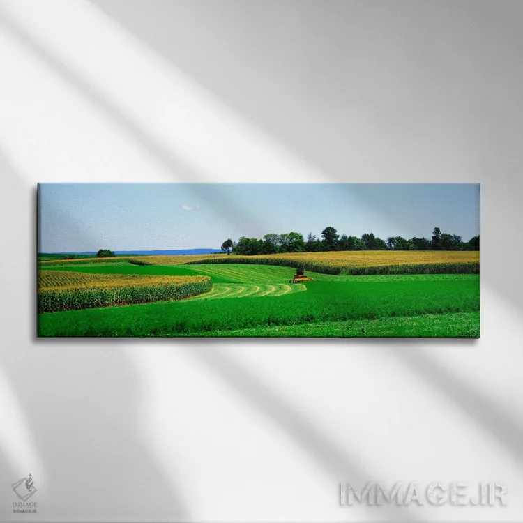 تابلو Frederick County, Maryland, USA,کمباین برداشت محصول، شهرستان فردریک، مریلند، آمریکا اثر پانورامیک ایمجز (استودیو عکاسی عریض) - نمای روبهرو روی دیوار