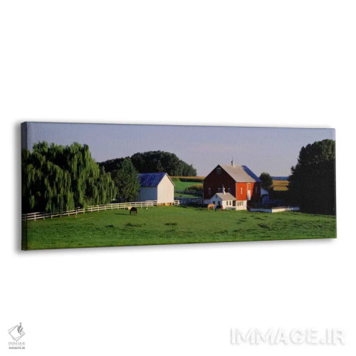 تابلو Baltimore County, Maryland, USA,مزرعه، شهرستان بالتیمور، مریلند، آمریکا اثر پانورامیک ایمجز (استودیو عکاسی عریض) - نمای پرسپکتیو محصول