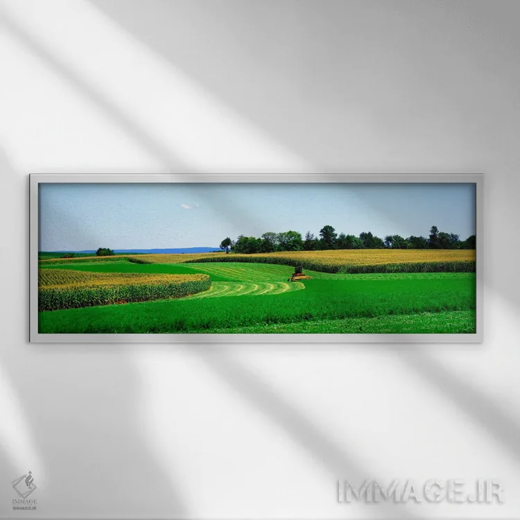 تابلو Frederick County, Maryland, USA,کمباین برداشت محصول، شهرستان فردریک، مریلند، آمریکا اثر پانورامیک ایمجز (استودیو عکاسی عریض) - نمای قابدار سفید