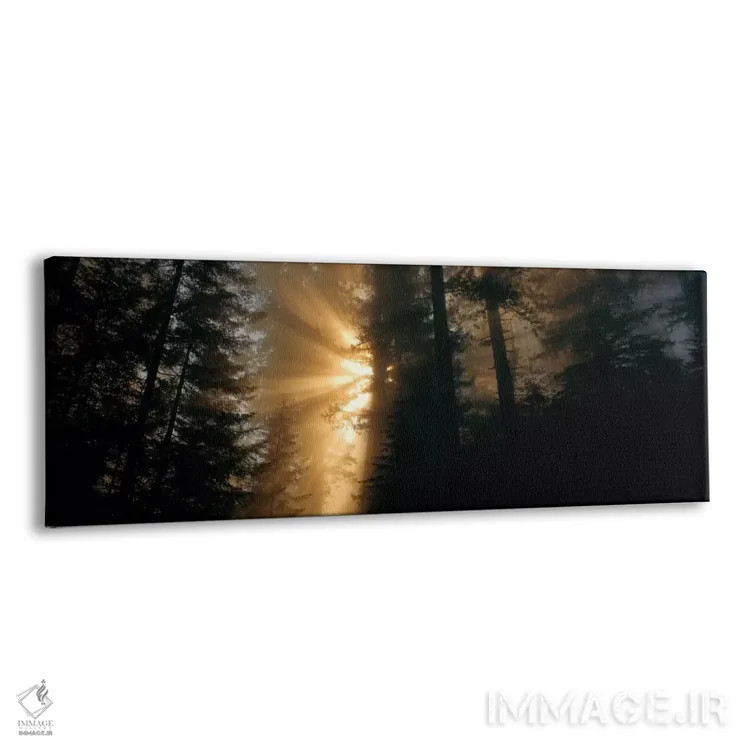 تابلو Redwood National And State Parks, California, USA,پرتوهای خورشید (پرتوهای خدا)، پارکهای ملی و ایالتی رد وود، کالیفرنیا، ایالات متحده آمریکا اثر پانورامیک ایمجز (استودیو عکاسی عریض) - نمای پرسپکتیو محصول