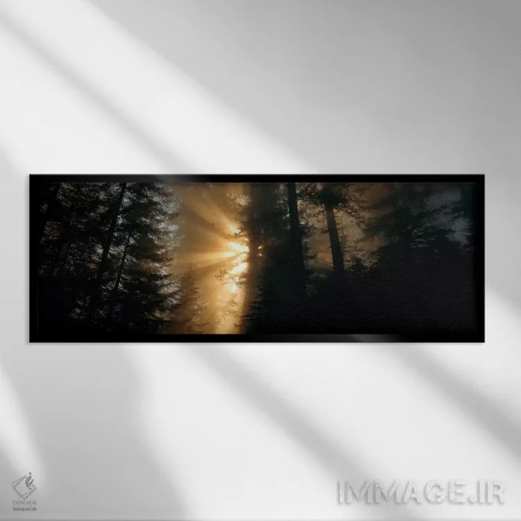 تابلو Redwood National And State Parks, California, USA,پرتوهای خورشید (پرتوهای خدا)، پارکهای ملی و ایالتی رد وود، کالیفرنیا، ایالات متحده آمریکا اثر پانورامیک ایمجز (استودیو عکاسی عریض) - نمای قابدار مشکی