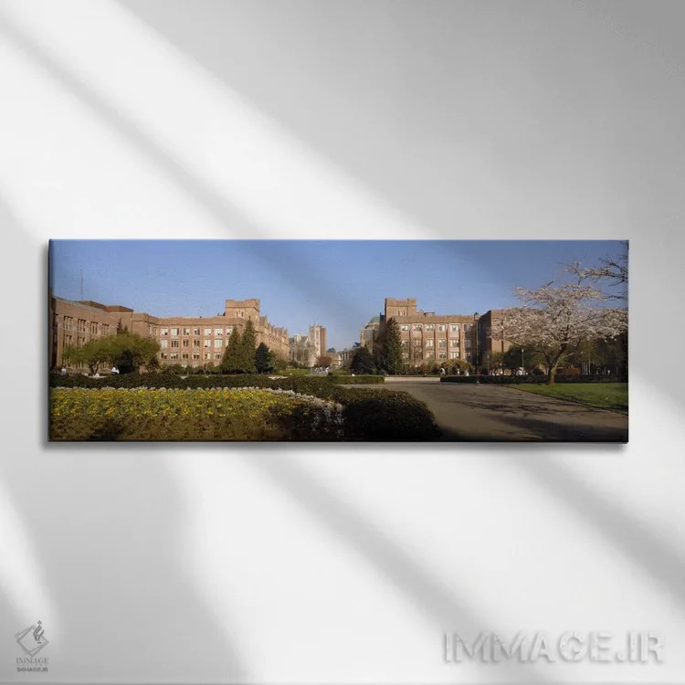 تابلو University of Washington, Seattle, King County, Washington State, USA,درختان در چمن دانشگاه، دانشگاه واشنگتن، سیاتل، شهرستان کینگ، ایالت واشنگتن، ایالات متحده آمریکا اثر پانورامیک ایمجز (استودیو عکاسی عریض) - نمای روبهرو روی دیوار