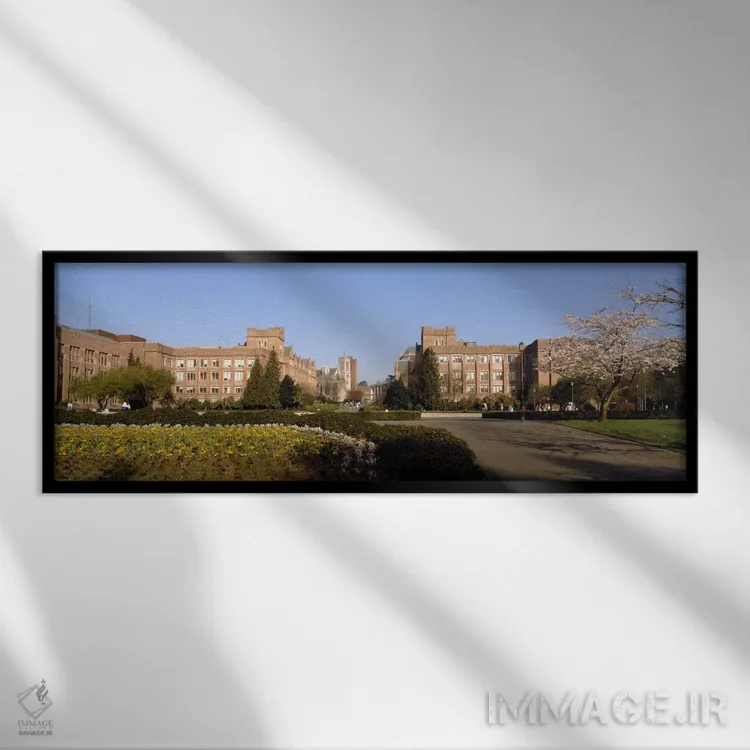 تابلو University of Washington, Seattle, King County, Washington State, USA,درختان در چمن دانشگاه، دانشگاه واشنگتن، سیاتل، شهرستان کینگ، ایالت واشنگتن، ایالات متحده آمریکا اثر پانورامیک ایمجز (استودیو عکاسی عریض) - نمای قابدار مشکی