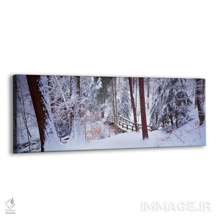 تابلو Cleveland OH USA,پل پیادهروی زمستانی، پارکهای مترو کلیولند، کلیولند، اوهایو، آمریکا اثر پانورامیک ایمجز (استودیو عکاسی عریض) - نمای پرسپکتیو محصول