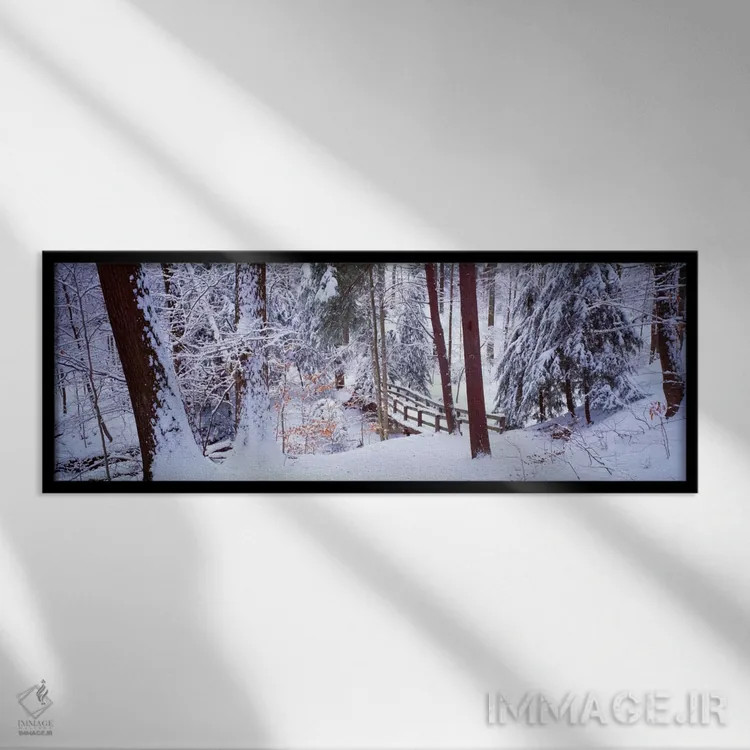 تابلو Cleveland OH USA,پل پیادهروی زمستانی، پارکهای مترو کلیولند، کلیولند، اوهایو، آمریکا اثر پانورامیک ایمجز (استودیو عکاسی عریض) - نمای قابدار مشکی