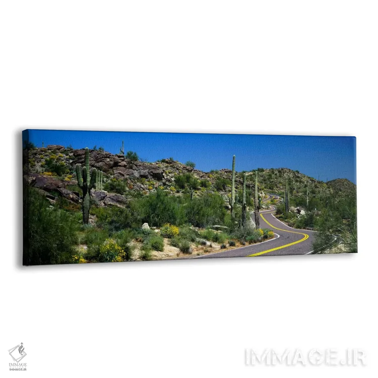 تابلو Phoenix, Arizona, USA,منظرهٔ بیابانی در امتداد جادهای پرپیچوخم، فونیکس، آریزونا، ایالات متحده آمریکا اثر پانورامیک ایمجز (استودیو عکاسی عریض) - نمای پرسپکتیو محصول