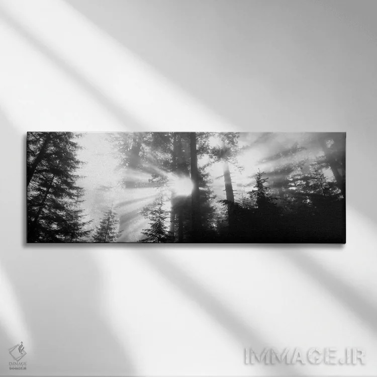 تابلو Redwood National Park, California, USA,آفتاب مهآلود، پارک ملی ردوود، کالیفرنیا، آمریکا اثر پانورامیک ایمجز (استودیو عکاسی عریض) - نمای روبهرو روی دیوار