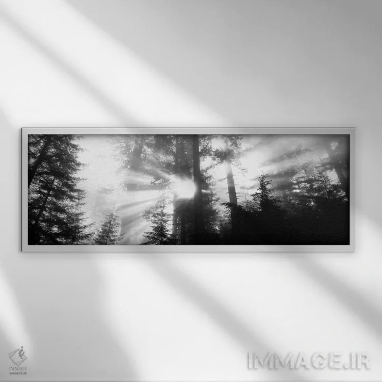 تابلو Redwood National Park, California, USA,آفتاب مهآلود، پارک ملی ردوود، کالیفرنیا، آمریکا اثر پانورامیک ایمجز (استودیو عکاسی عریض) - نمای قابدار سفید
