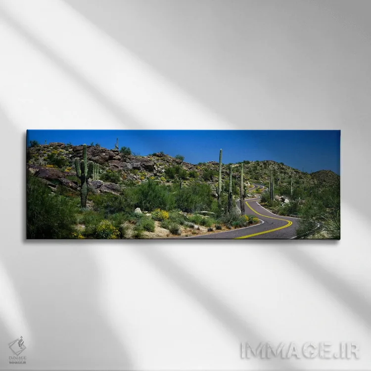 تابلو Phoenix, Arizona, USA,منظرهٔ بیابانی در امتداد جادهای پرپیچوخم، فونیکس، آریزونا، ایالات متحده آمریکا اثر پانورامیک ایمجز (استودیو عکاسی عریض) - نمای روبهرو روی دیوار