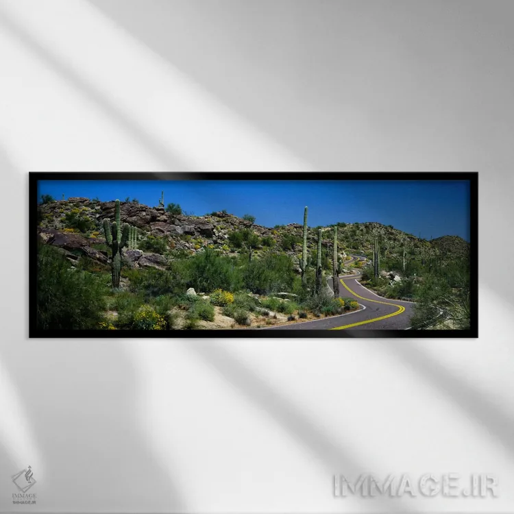 تابلو Phoenix, Arizona, USA,منظرهٔ بیابانی در امتداد جادهای پرپیچوخم، فونیکس، آریزونا، ایالات متحده آمریکا اثر پانورامیک ایمجز (استودیو عکاسی عریض) - نمای قابدار مشکی