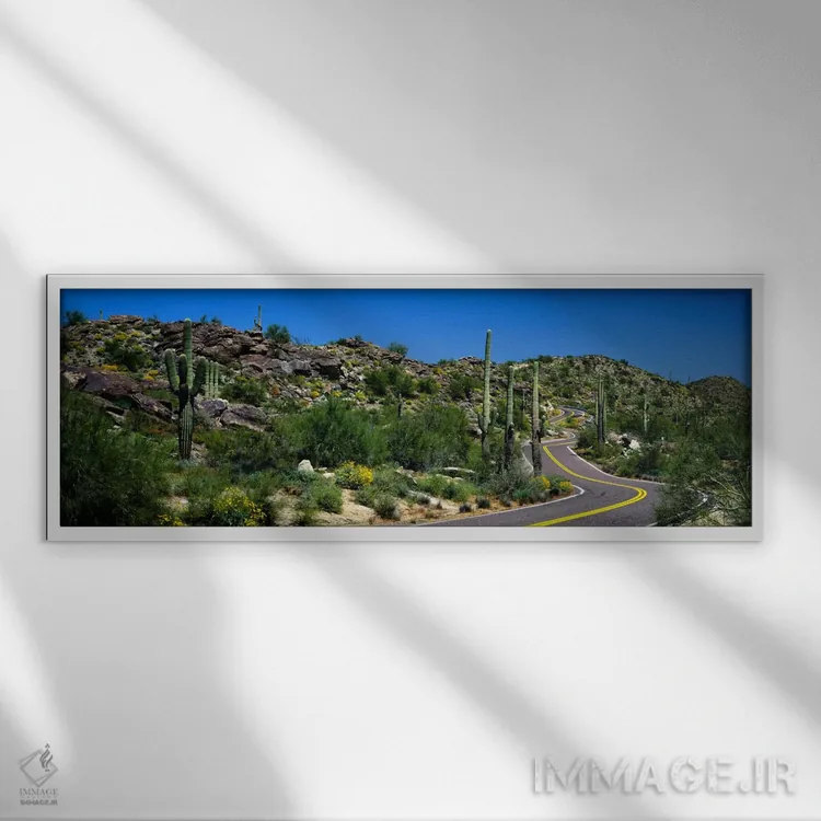 تابلو Phoenix, Arizona, USA,منظرهٔ بیابانی در امتداد جادهای پرپیچوخم، فونیکس، آریزونا، ایالات متحده آمریکا اثر پانورامیک ایمجز (استودیو عکاسی عریض) - نمای قابدار سفید