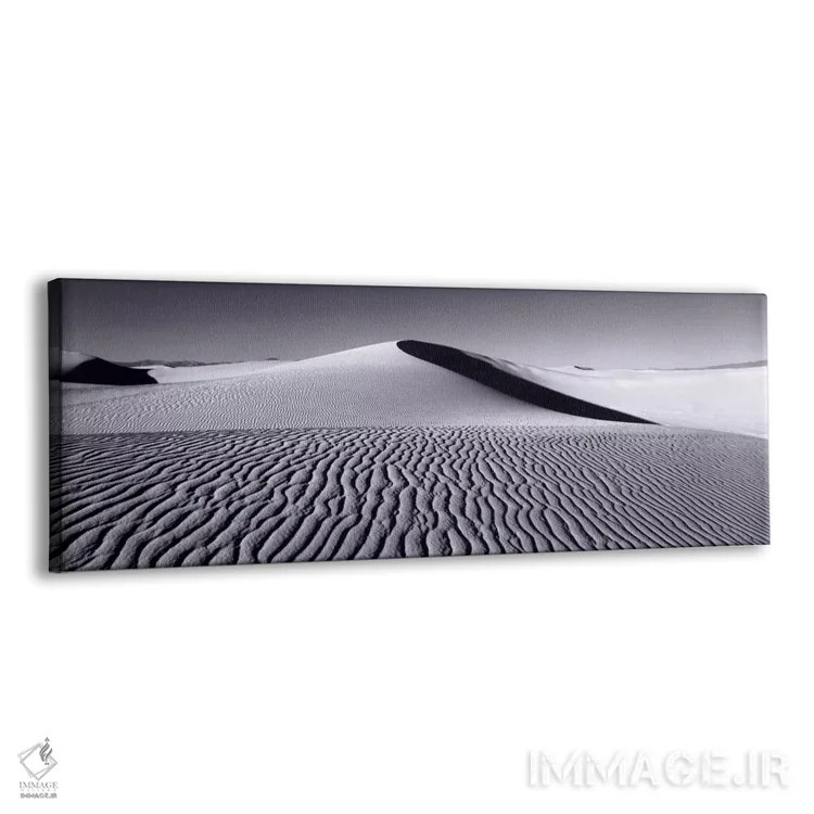 تابلو White Sands National Monument, New Mexico, USA,تپههای شنی در حالت سیاه و سفید، یادبود ملی وایت سندز، نیومکزیکو، ایالات متحده آمریکا اثر پانورامیک ایمجز (استودیو عکاسی عریض) - نمای پرسپکتیو محصول