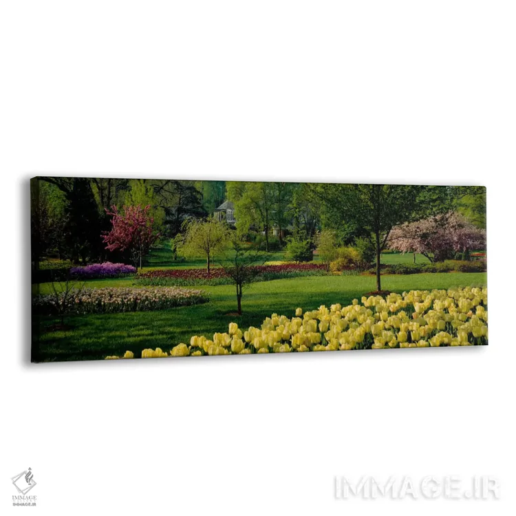 تابلو Sherwood Gardens, Baltimore, Maryland, USA,گلهای لاله در باغ، باغهای شروود، بالتیمور، مریلند، آمریکا اثر پانورامیک ایمجز (استودیو عکاسی عریض) - نمای پرسپکتیو محصول