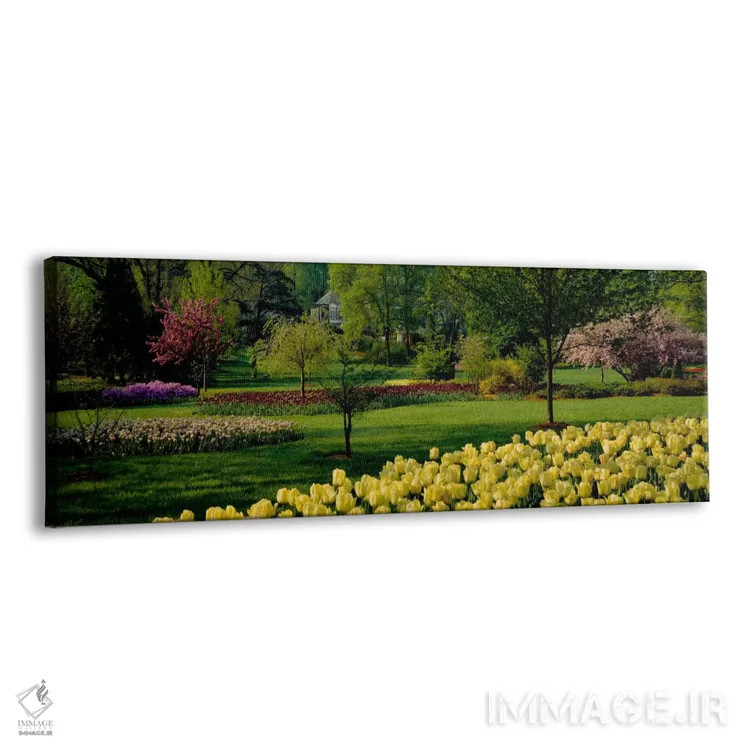 تابلو Sherwood Gardens, Baltimore, Maryland, USA,گلهای لاله در باغ، باغهای شروود، بالتیمور، مریلند، آمریکا اثر پانورامیک ایمجز (استودیو عکاسی عریض) - نمای پرسپکتیو محصول