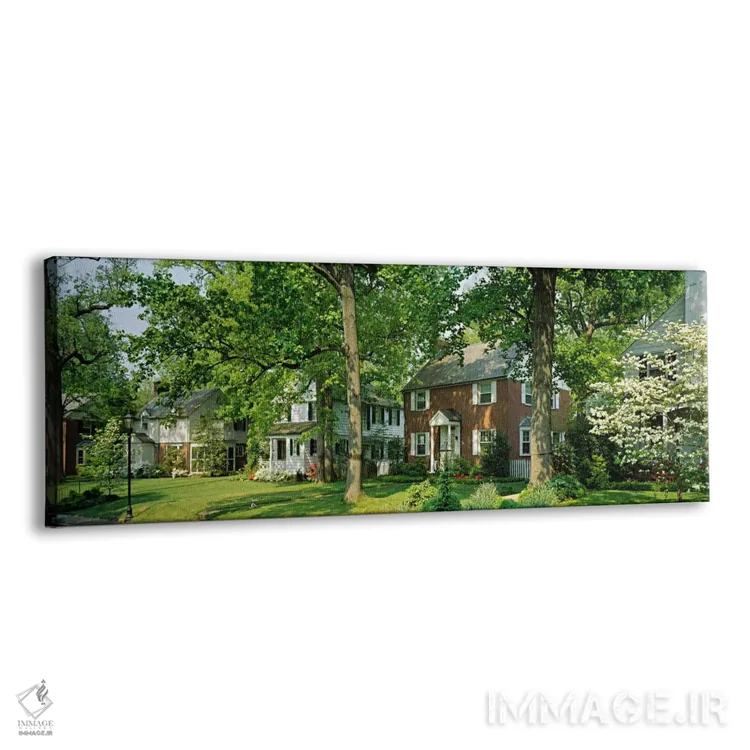 تابلو Broadmoor Ave, Baltimore City, Maryland, USA,نمای بیرونی خانهها، خیابان برادمور، شهر بالتیمور، مریلند، آمریکا اثر پانورامیک ایمجز (استودیو عکاسی عریض) - نمای پرسپکتیو محصول