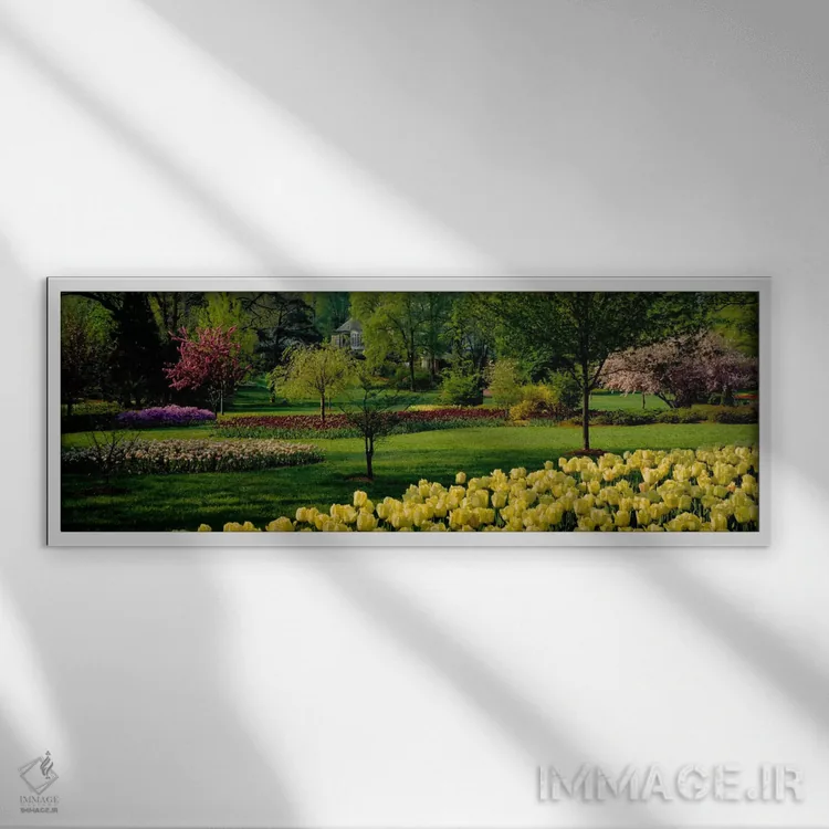 تابلو Sherwood Gardens, Baltimore, Maryland, USA,گلهای لاله در باغ، باغهای شروود، بالتیمور، مریلند، آمریکا اثر پانورامیک ایمجز (استودیو عکاسی عریض) - نمای قابدار سفید