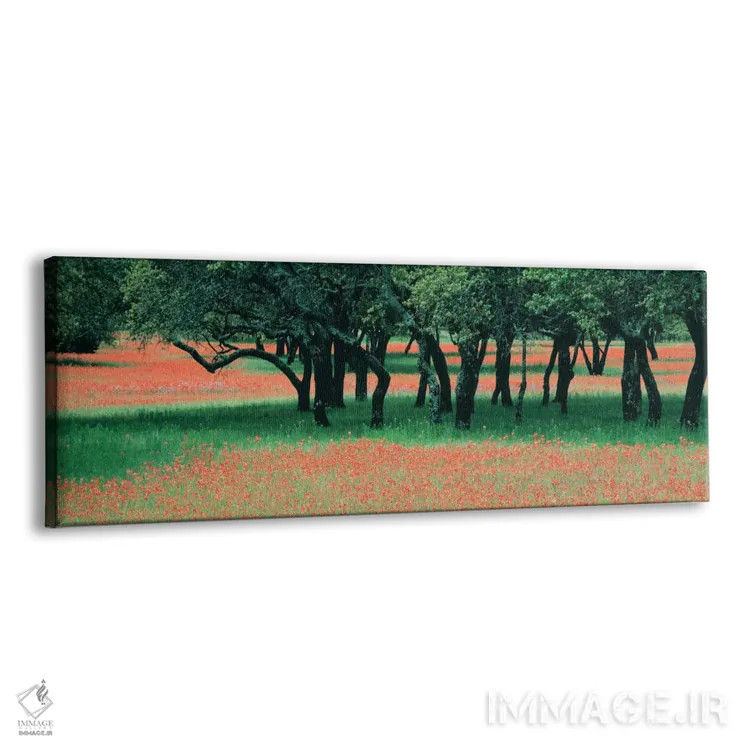 تابلو Texas Hill Co, Texas, USA,گلهای براش هندی و درختان بلوط پراکنده، شهرستان هیل تگزاس، آمریکا اثر پانورامیک ایمجز (استودیو عکاسی عریض) - نمای پرسپکتیو محصول