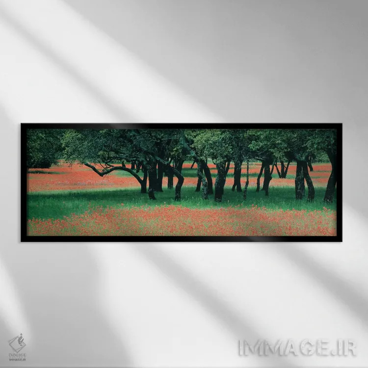 تابلو Texas Hill Co, Texas, USA,گلهای براش هندی و درختان بلوط پراکنده، شهرستان هیل تگزاس، آمریکا اثر پانورامیک ایمجز (استودیو عکاسی عریض) - نمای قابدار مشکی