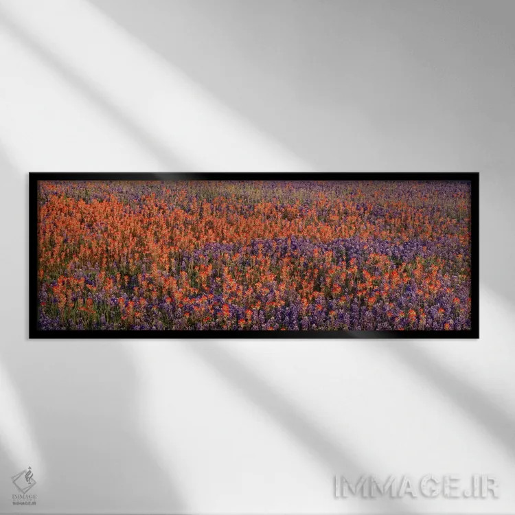تابلو USA,گلهای بلو بانت و براش هندی در دشتی در تگزاس، آمریکا اثر پانورامیک ایمجز (استودیو عکاسی عریض) - نمای قابدار مشکی