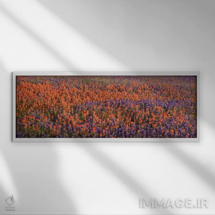 تابلو USA,گلهای بلو بانت و براش هندی در دشتی در تگزاس، آمریکا اثر پانورامیک ایمجز (استودیو عکاسی عریض) - نمای قابدار سفید