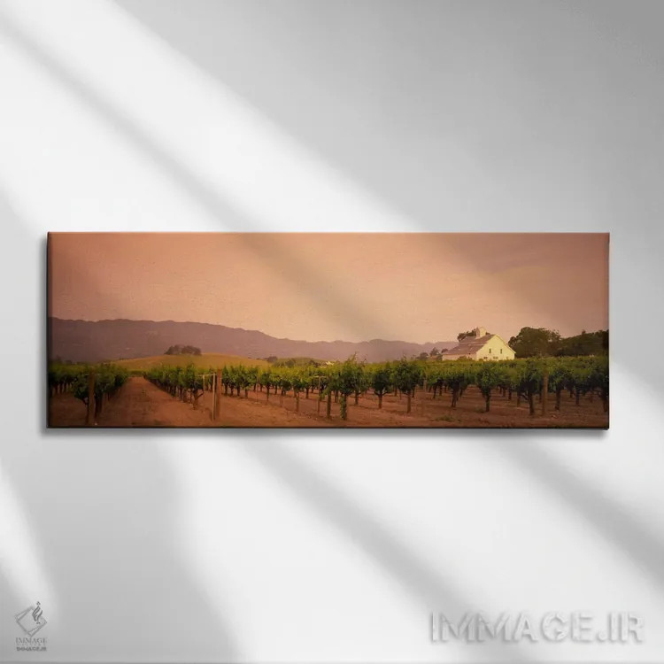 تابلو Napa Valley, California, USA,منظره تاکستان، دره ناپا، کالیفرنیا، آمریکا اثر پانورامیک ایمجز (استودیو عکاسی عریض) - نمای روبهرو روی دیوار