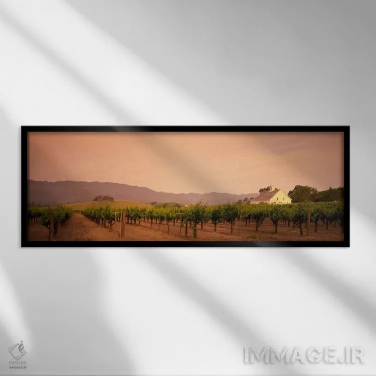تابلو Napa Valley, California, USA,منظره تاکستان، دره ناپا، کالیفرنیا، آمریکا اثر پانورامیک ایمجز (استودیو عکاسی عریض) - نمای قابدار مشکی