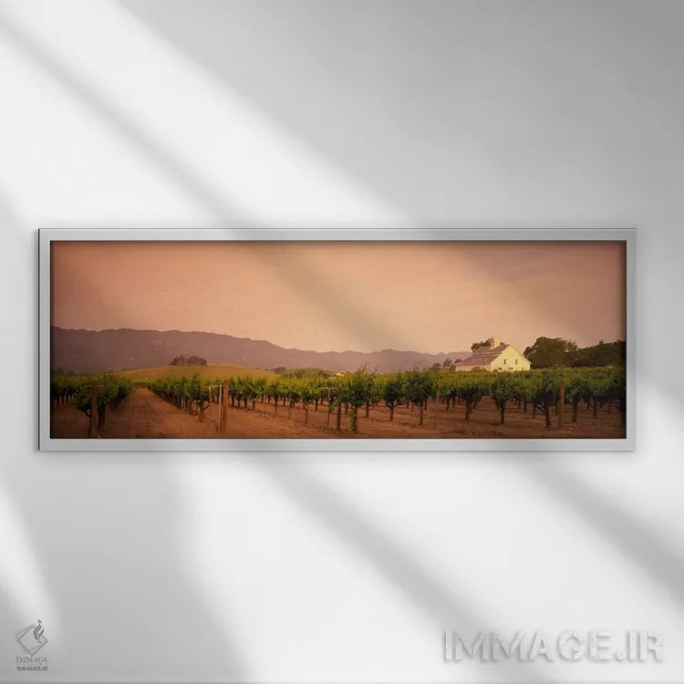 تابلو Napa Valley, California, USA,منظره تاکستان، دره ناپا، کالیفرنیا، آمریکا اثر پانورامیک ایمجز (استودیو عکاسی عریض) - نمای قابدار سفید