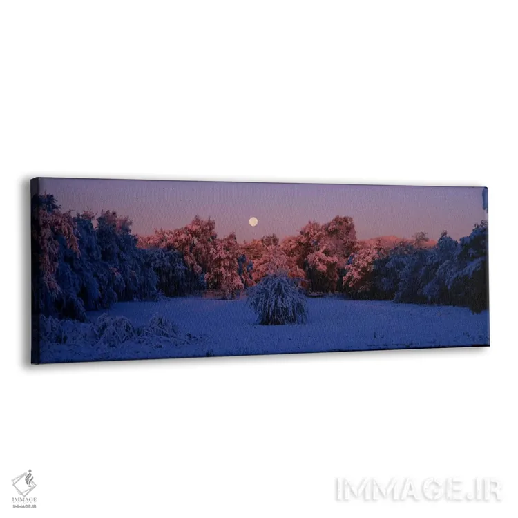 تابلو Denver, Colorado, USA,جنگل پوشیده از برف هنگام سپیدهدم، دنور، کلرادو، آمریکا اثر پانورامیک ایمجز (استودیو عکاسی عریض) - نمای پرسپکتیو محصول