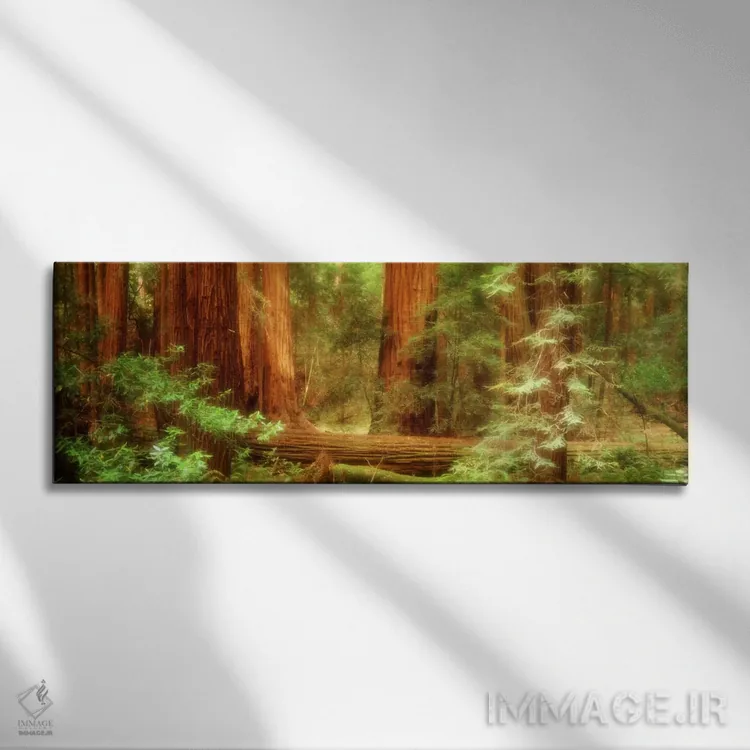 تابلو Muir Woods National Monument, Marin County, California, USA,درختان ردوود ساحلی، بنای ملی مویروودز، شهرستان مارین، کالیفرنیا، آمریکا اثر پانورامیک ایمجز (استودیو عکاسی عریض) - نمای روبهرو روی دیوار