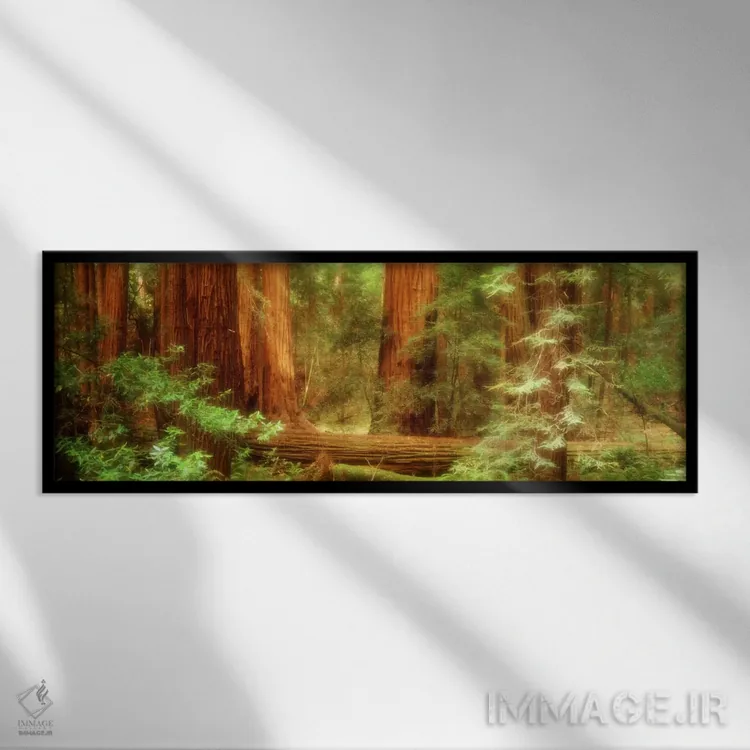 تابلو Muir Woods National Monument, Marin County, California, USA,درختان ردوود ساحلی، بنای ملی مویروودز، شهرستان مارین، کالیفرنیا، آمریکا اثر پانورامیک ایمجز (استودیو عکاسی عریض) - نمای قابدار مشکی