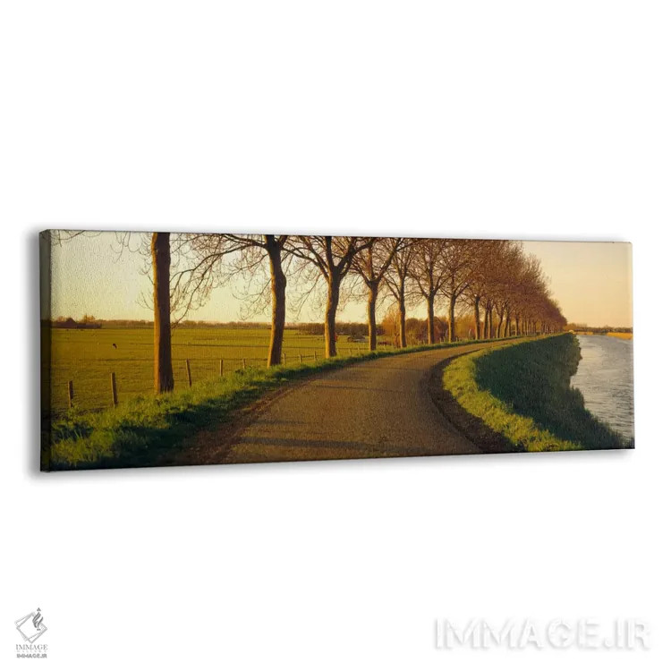 تابلو Noordbeemster, North Holland, Netherlands,جاده ساحلی مشجر، نوردبیمستر، شمال هلند، هلند اثر پانورامیک ایمجز (استودیو عکاسی عریض) - نمای پرسپکتیو محصول