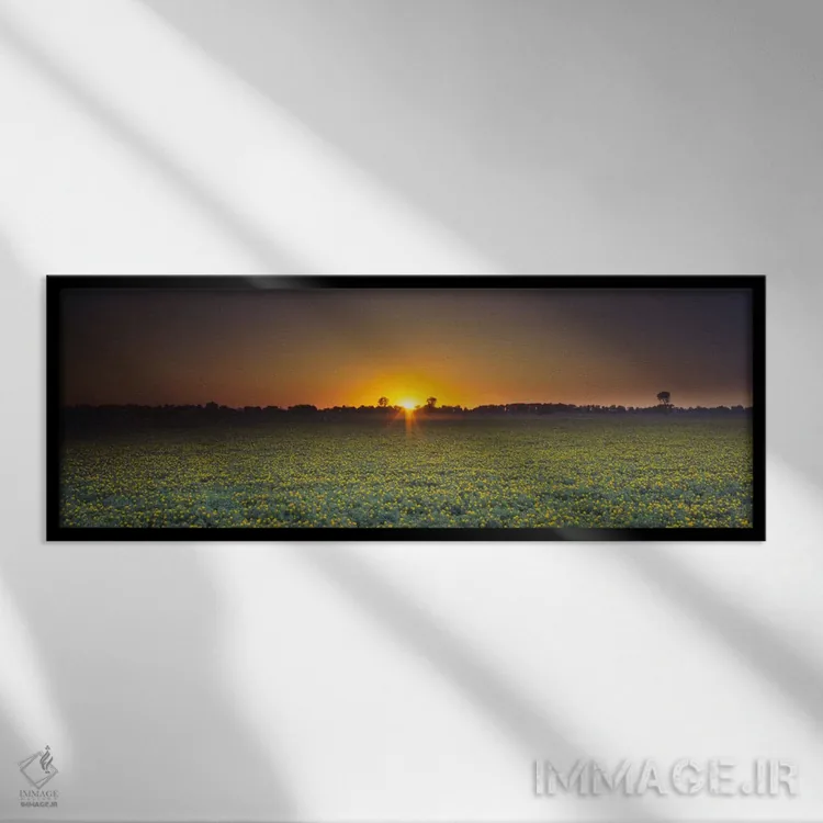 تابلو Sacramento, California, USA,مزرعه گلکاجیره در غروب، ساکرامنتو، کالیفرنیا، آمریکا اثر پانورامیک ایمجز (استودیو عکاسی عریض) - نمای قابدار مشکی