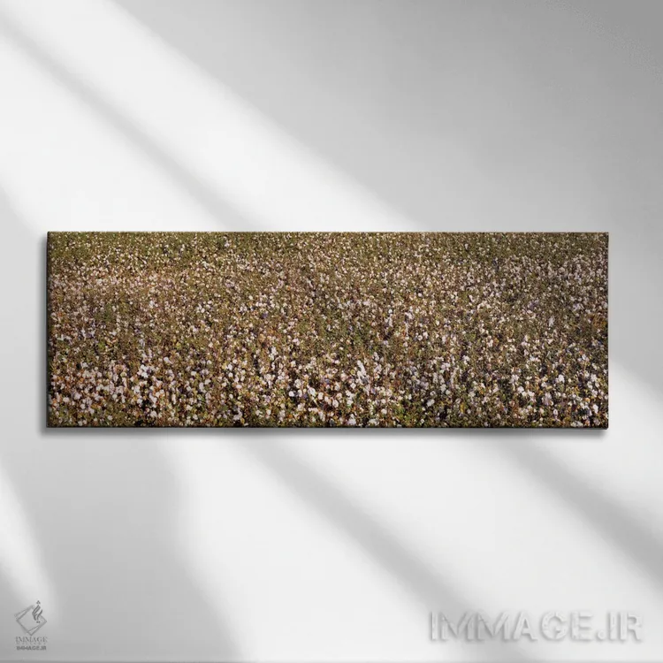 تابلو San Joaquin Valley, California, USA,نمای بالا از مزرعه پنبه، فرسنو، دره سن خوآکین، کالیفرنیا، آمریکا اثر پانورامیک ایمجز (استودیو عکاسی عریض) - نمای روبهرو روی دیوار