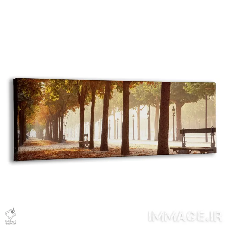 تابلو Paris, Ile-de-France, France,پیادهروی کنار خیابان شانزهلیزه، پاریس، فرانسه اثر پانورامیک ایمجز (استودیو عکاسی عریض) - نمای پرسپکتیو محصول