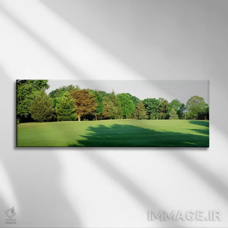 تابلو Baltimore, Maryland, USA,درختان در زمین گلف، باشگاه وودهولم، بالتیمور، مریلند، آمریکا اثر پانورامیک ایمجز (استودیو عکاسی عریض) - نمای روبهرو روی دیوار