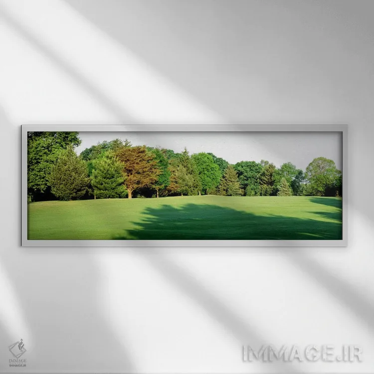 تابلو Baltimore, Maryland, USA,درختان در زمین گلف، باشگاه وودهولم، بالتیمور، مریلند، آمریکا اثر پانورامیک ایمجز (استودیو عکاسی عریض) - نمای قابدار سفید