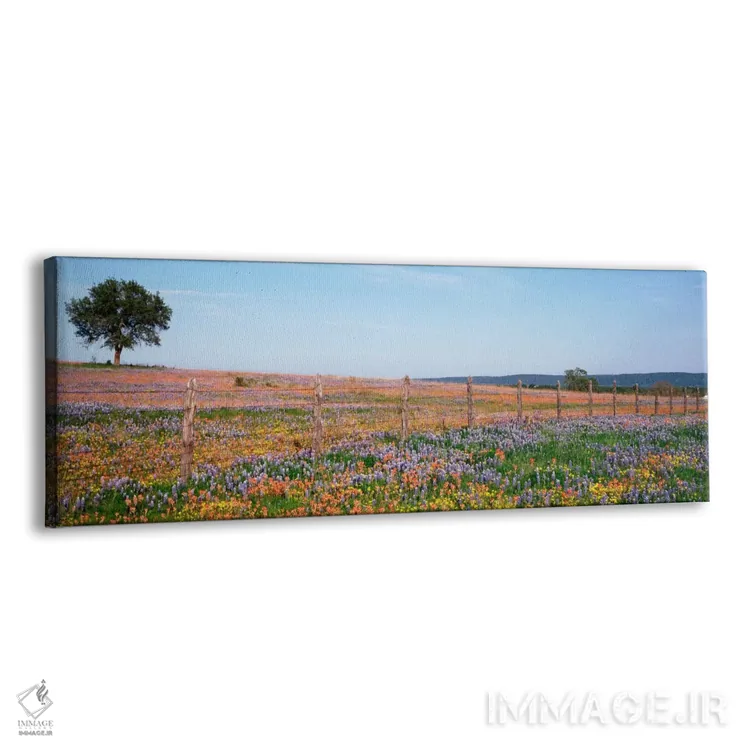 تابلو Texas Hill Country, Texas, USA,دشت گلهای وحشی، منطقه تپهای تگزاس، تگزاس، آمریکا اثر پانورامیک ایمجز (استودیو عکاسی عریض) - نمای پرسپکتیو محصول