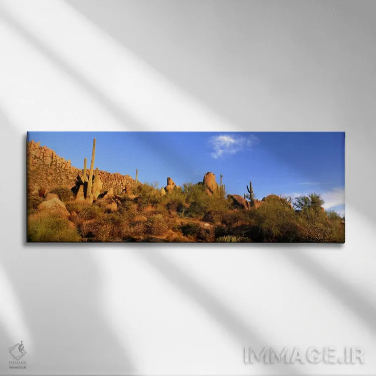 تابلو Sonoran Desert, Arizona, United States,منظره بیابانی، صحرای سونوران، آریزونا، ایالات متحده اثر پانورامیک ایمجز (استودیو عکاسی عریض) - نمای روبهرو روی دیوار