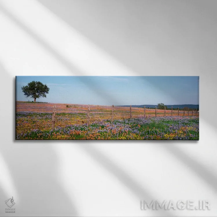 تابلو Texas Hill Country, Texas, USA,دشت گلهای وحشی، منطقه تپهای تگزاس، تگزاس، آمریکا اثر پانورامیک ایمجز (استودیو عکاسی عریض) - نمای روبهرو روی دیوار