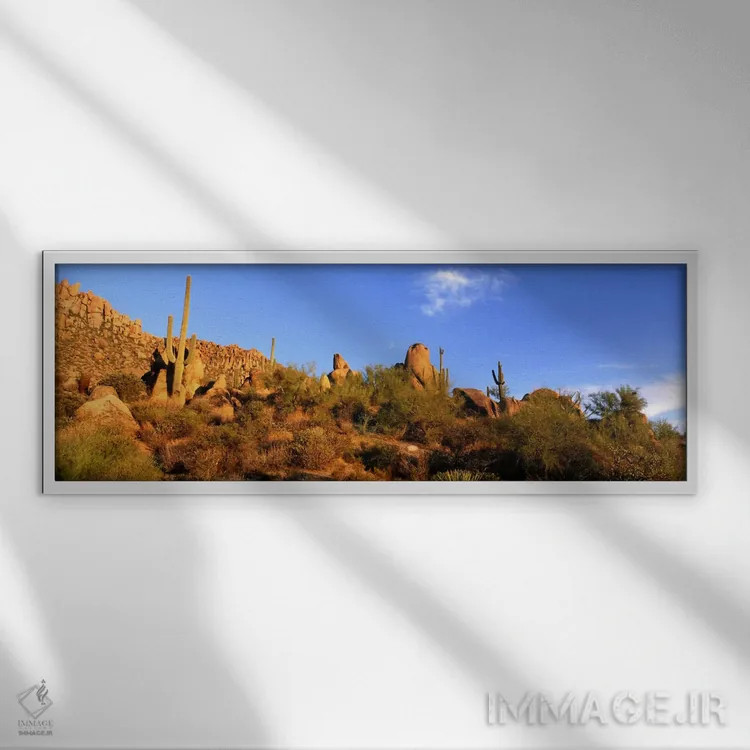 تابلو Sonoran Desert, Arizona, United States,منظره بیابانی، صحرای سونوران، آریزونا، ایالات متحده اثر پانورامیک ایمجز (استودیو عکاسی عریض) - نمای قابدار سفید