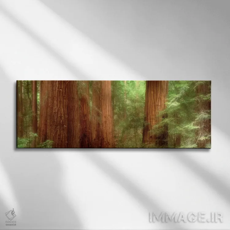 تابلو Muir Woods, California, USA,درختان سرخچوب، جنگل مویر، کالیفرنیا، آمریکا اثر پانورامیک ایمجز (استودیو عکاسی عریض) - نمای روبهرو روی دیوار