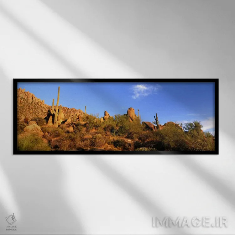 تابلو Sonoran Desert, Arizona, United States,منظره بیابانی، صحرای سونوران، آریزونا، ایالات متحده اثر پانورامیک ایمجز (استودیو عکاسی عریض) - نمای قابدار مشکی