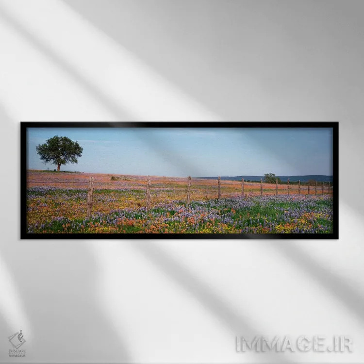 تابلو Texas Hill Country, Texas, USA,دشت گلهای وحشی، منطقه تپهای تگزاس، تگزاس، آمریکا اثر پانورامیک ایمجز (استودیو عکاسی عریض) - نمای قابدار مشکی