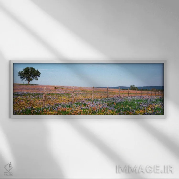 تابلو Texas Hill Country, Texas, USA,دشت گلهای وحشی، منطقه تپهای تگزاس، تگزاس، آمریکا اثر پانورامیک ایمجز (استودیو عکاسی عریض) - نمای قابدار سفید