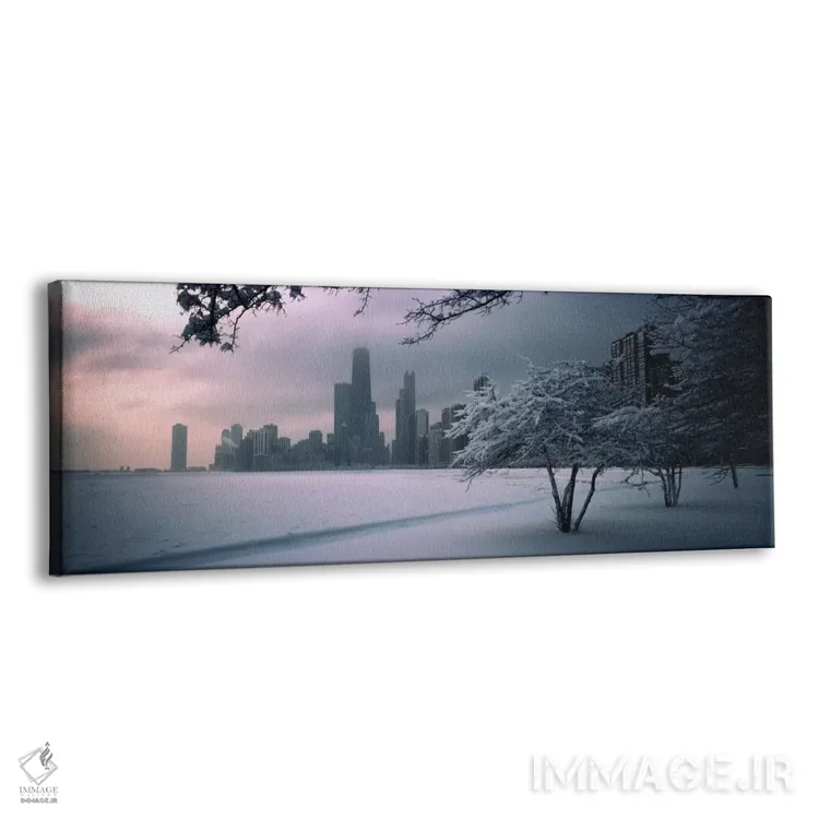 تابلو Chicago, Illinois, USA,درخت پوشیده از برف در ساحل با نمای شهر در پسزمینه، نورت اونیو بیچ، شیکاگو، ایلینوی، ایالات متحده آمریکا اثر پانورامیک ایمجز (استودیو عکاسی عریض) - نمای پرسپکتیو محصول