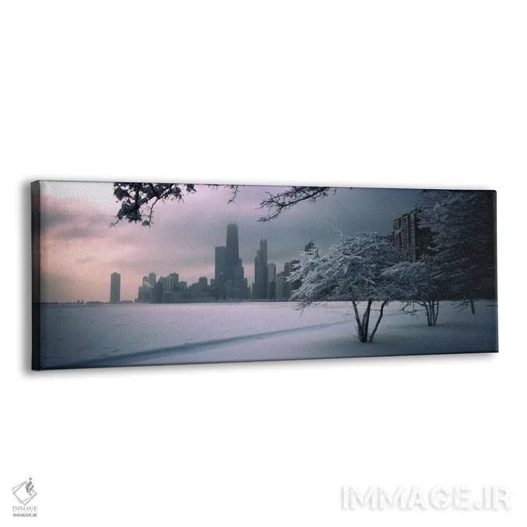 تابلو Chicago, Illinois, USA,درخت پوشیده از برف در ساحل با نمای شهر در پسزمینه، نورت اونیو بیچ، شیکاگو، ایلینوی، ایالات متحده آمریکا اثر پانورامیک ایمجز (استودیو عکاسی عریض) - نمای پرسپکتیو محصول